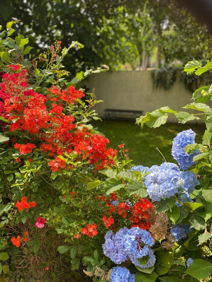 Mantilly Cottage المظهر الخارجي الصورة